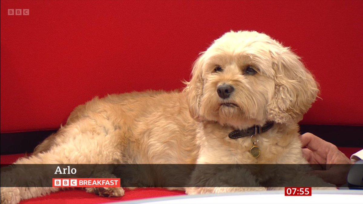 Caron Blay tweet media