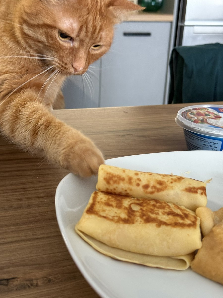 Govorunja's tweet photo. @grumpy_ryumo Включает телевизор(если голодный, чтобы я пришла в комнату)
Ворует из еды все что плохо приколочено, особенно хлеб
Делал мне кофе (жопкой нажимал кнопки на кофемашине)
Открывал дверки шкафов на кухне в поисках еды 
Сует лапы во всю мою еду
Ничего не раздражает, кот - золотце🥰 https://t.co/1qRTOPeecV