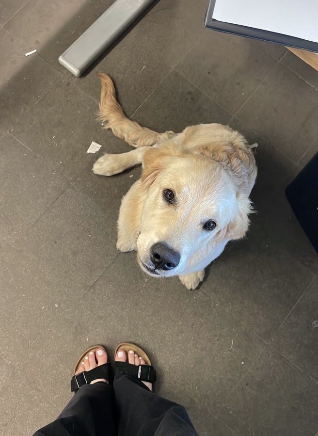 Was ist der unterschied zwischen dir und dem Hund ? 

Telegram; Göttinlauraa