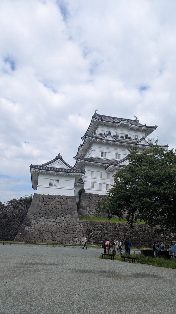 小田原城きちゃ