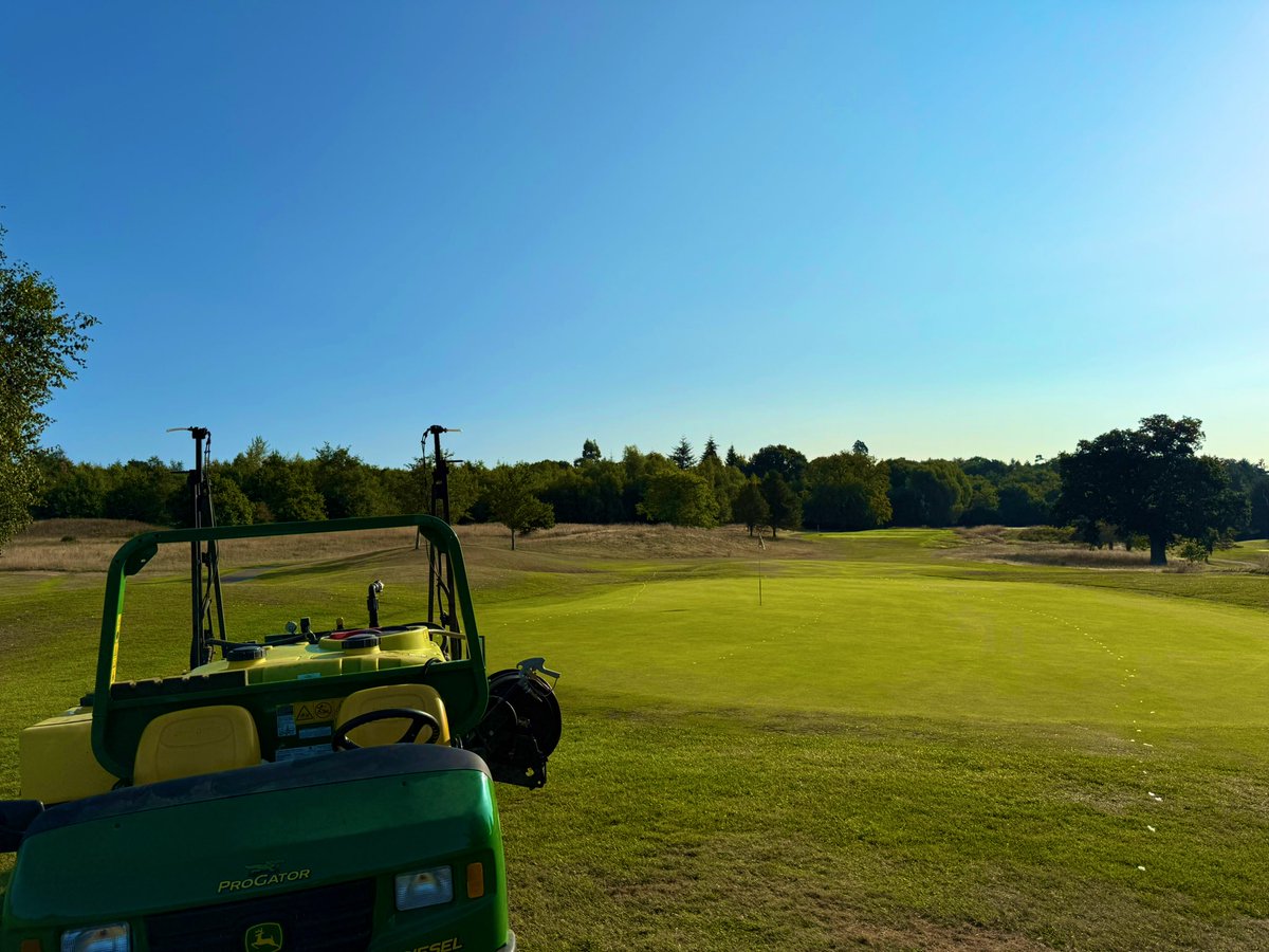 Beautiful morning for it!