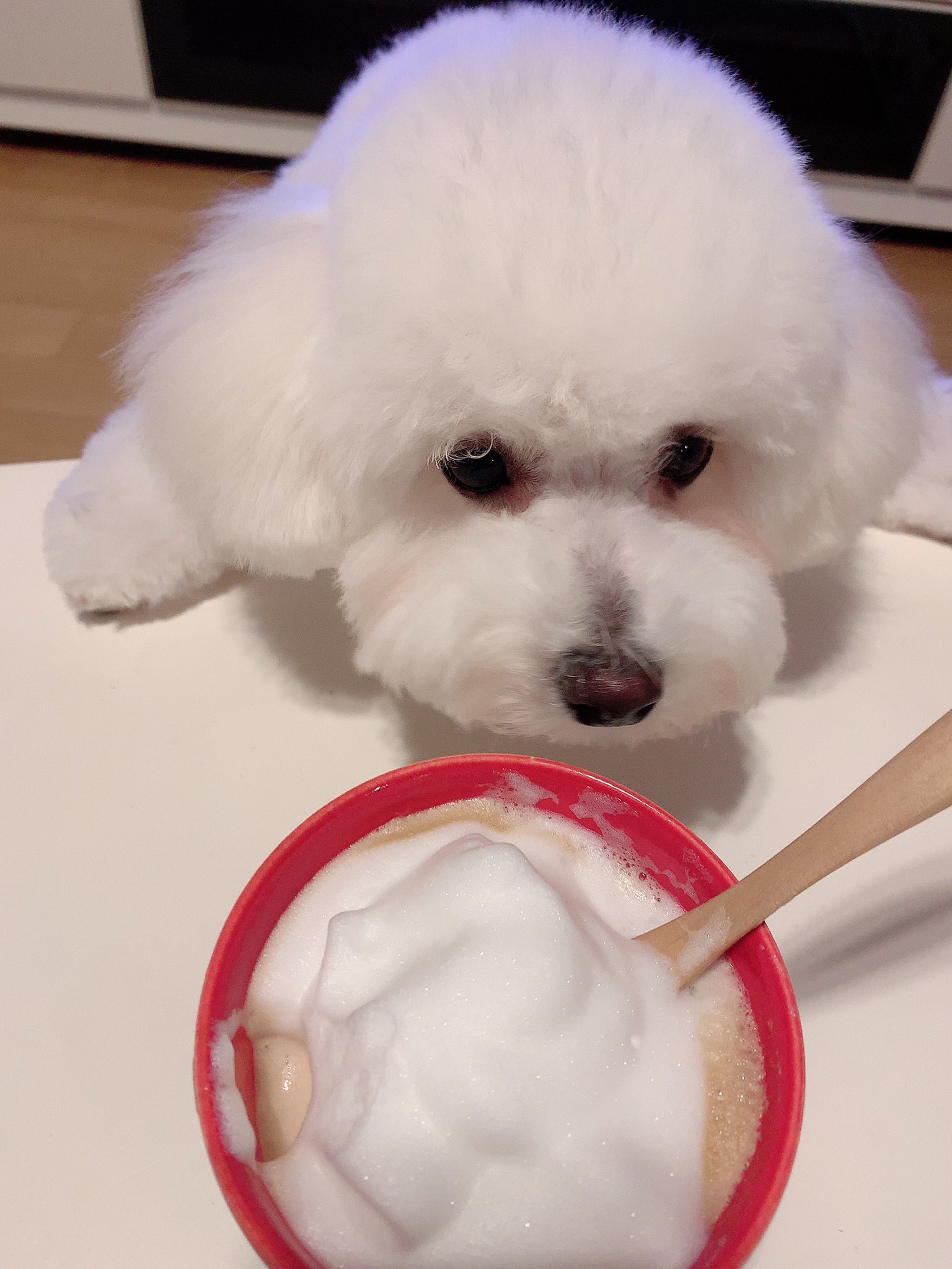 公認心理師 小高塾 7期生 一式 小高千枝 メンタルヘルスケア