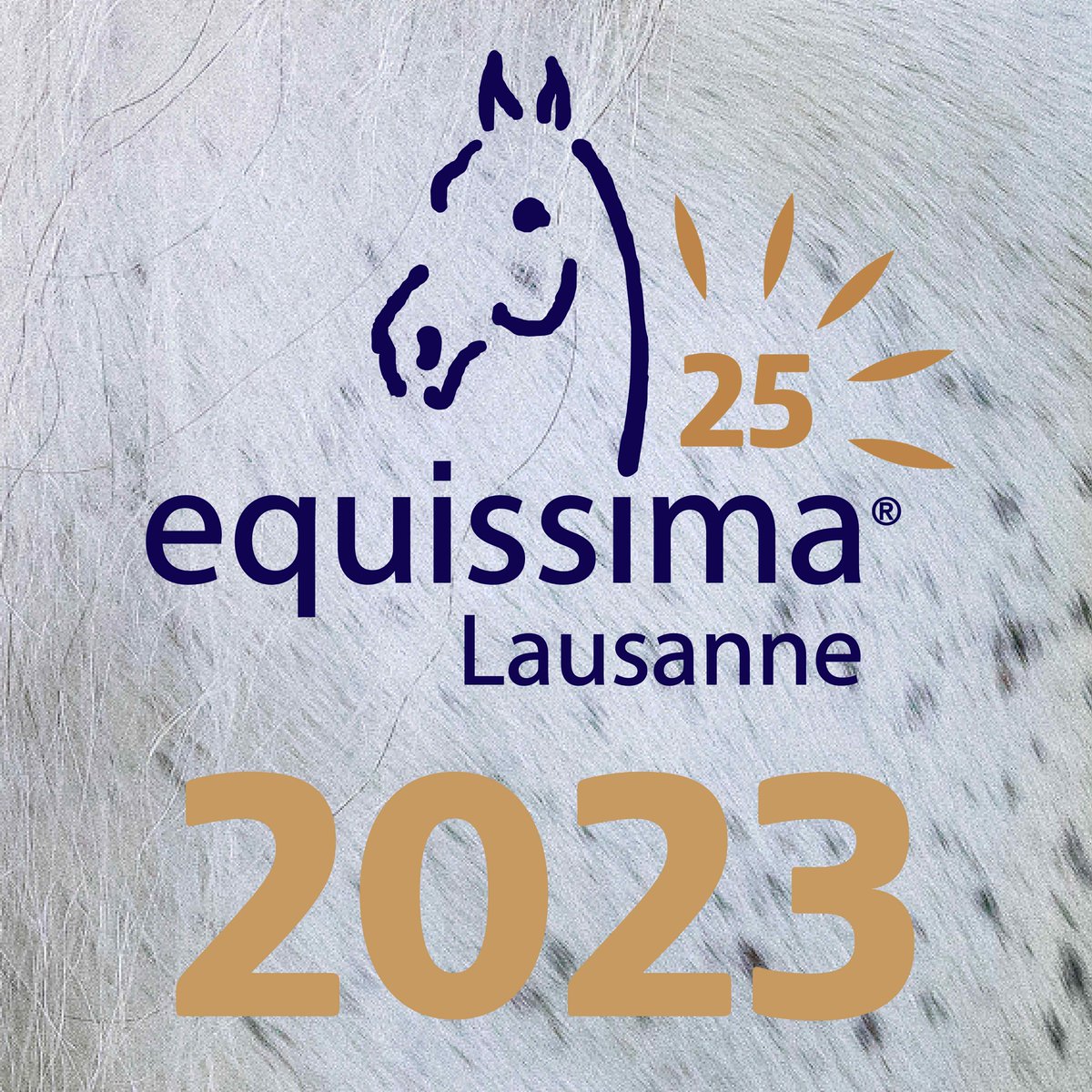 equissima's tweet photo. equissima® - Newsletter - https://t.co/lC7tUuKbfO https://t.co/J0FnJiEf0D