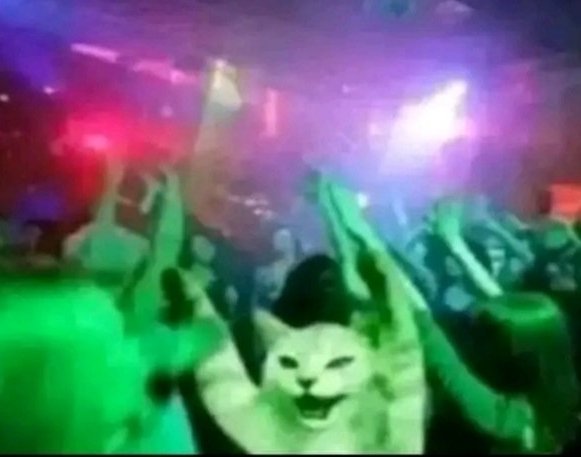 PlugKaunjika1's tweet image. Ndalama zipite,moyo utsale,tisangalale..

THE MIGHTY VIRUS JAM SESSION.

 23 August at Cafe 92 🔥10K yokha basi
All the hot Djs in the country will be there.
@Mightyvirus

#tmv
#jamsession
#cafe92