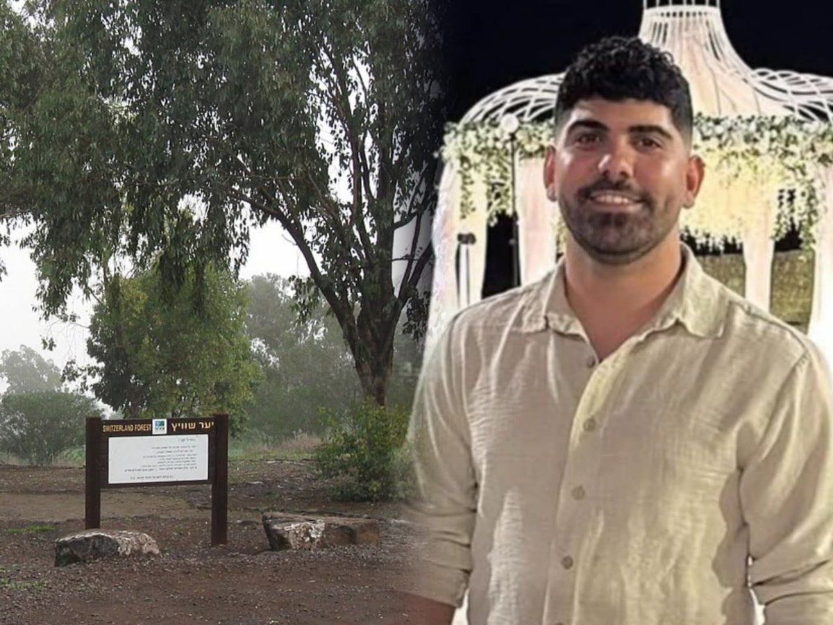 Shanna Messaoudi tweet media