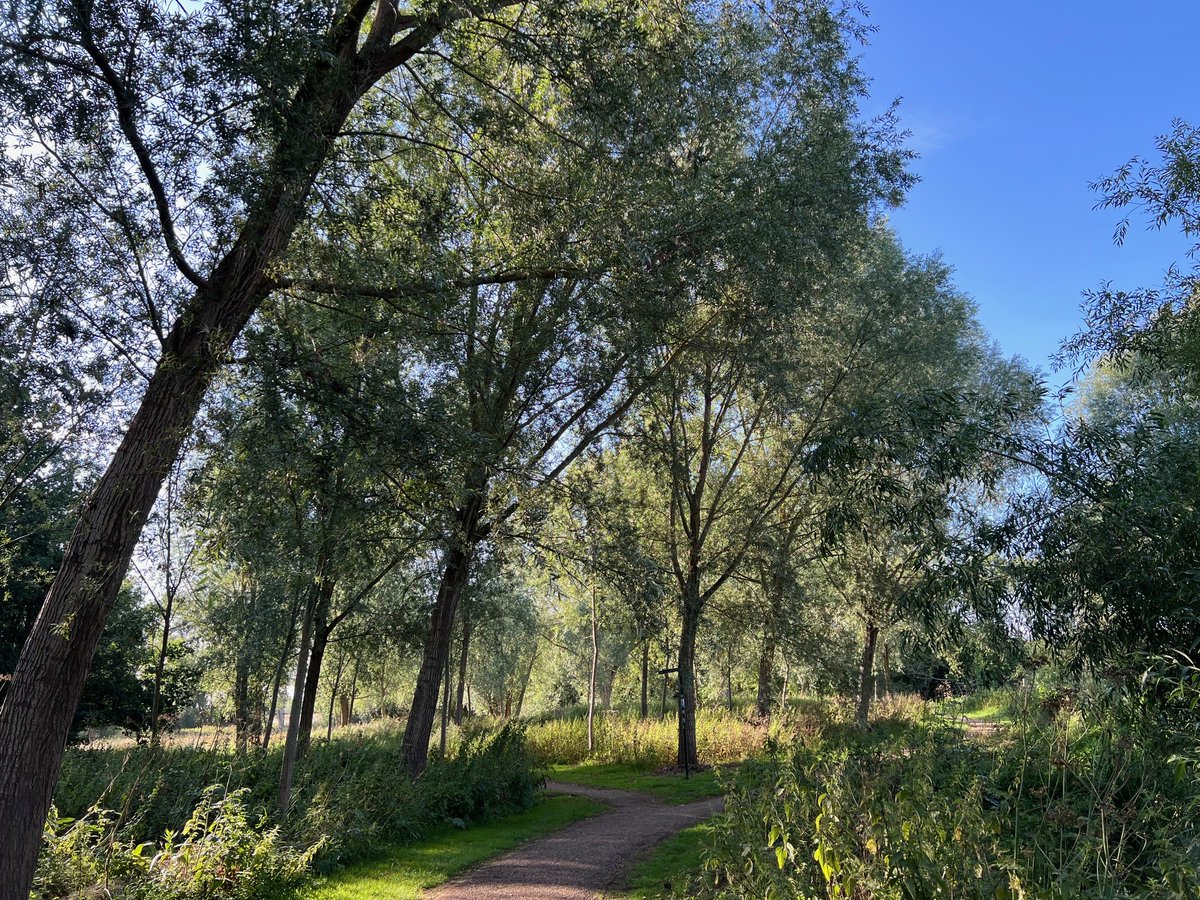 It’s Summer Hours here at Renaissance! ☀️

But that doesn’t mean we’re not here to support you. Feel free to give us a shout and we’ll be back as soon as possible: 

And in the meantime, here's how our Product Marketing Associate Kate Barton recently spent her Friday afternoon -