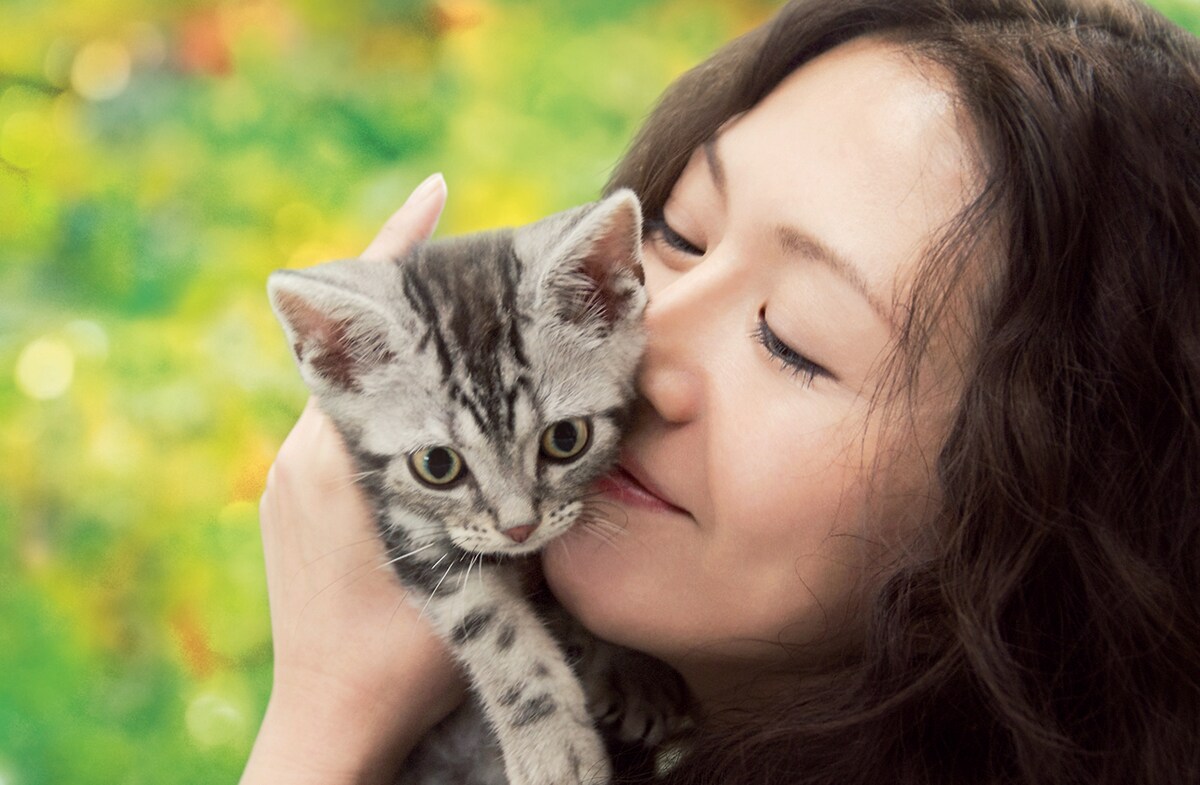 eiga_natalie's tweet photo. 大島弓子原作の映画が神戸で上映、「綿の国星」「グーグーだって猫である」など3作品
https://t.co/i392oVU3Hc

#大島弓子 #元町映画館 https://t.co/GeF1SmeIbq