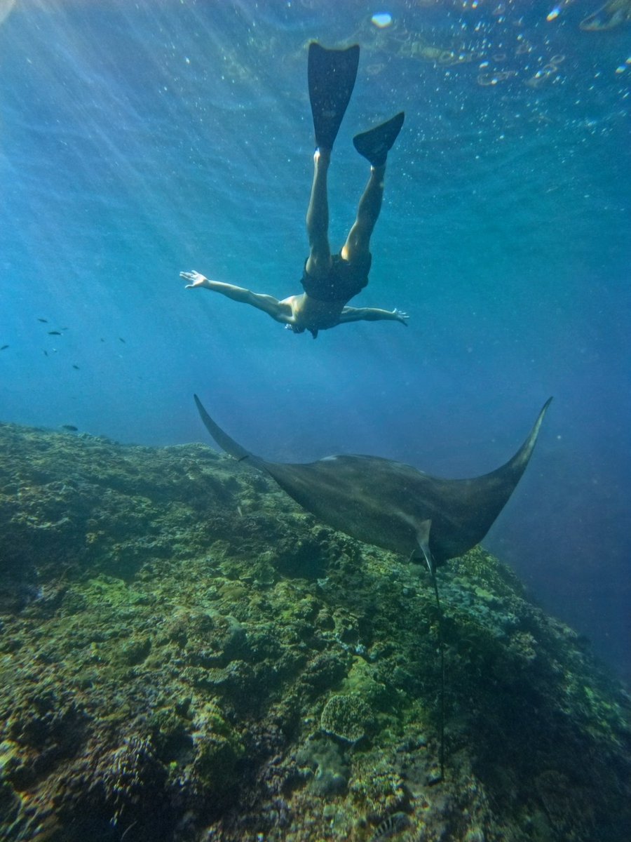 ʟᴜᴄᴀs tweet media