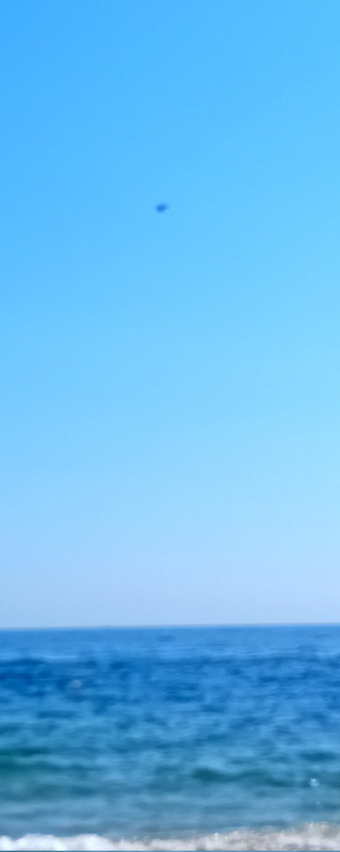 Катерина Галич tweet media