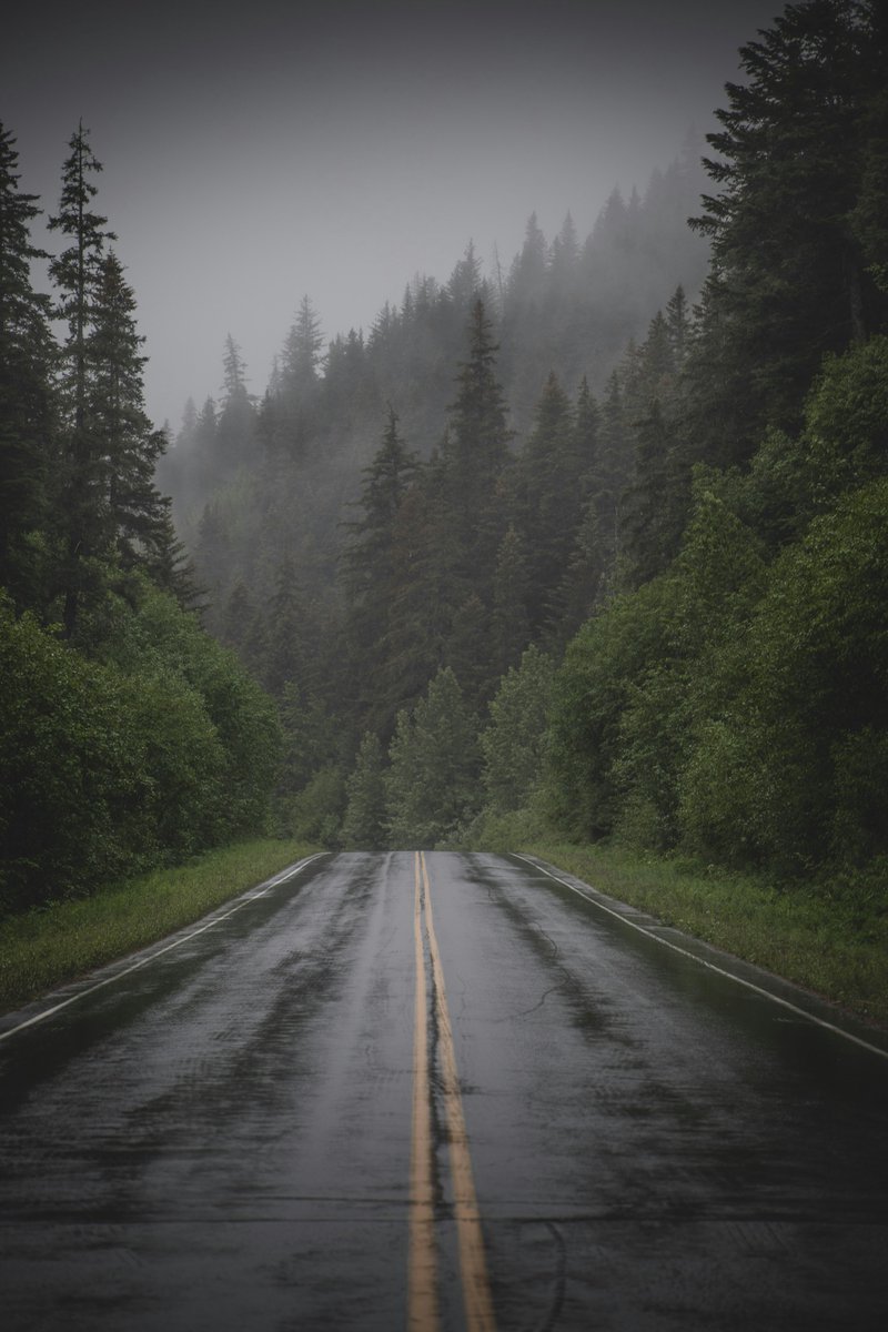 — after the rain 🌧️