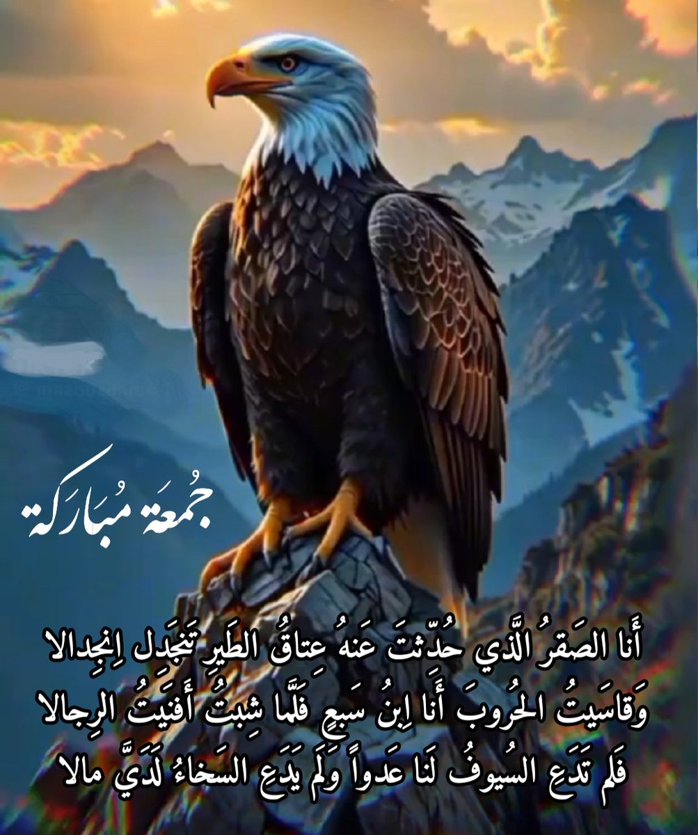 راعي الديرة (@ahmadissa2025) on Twitter photo 