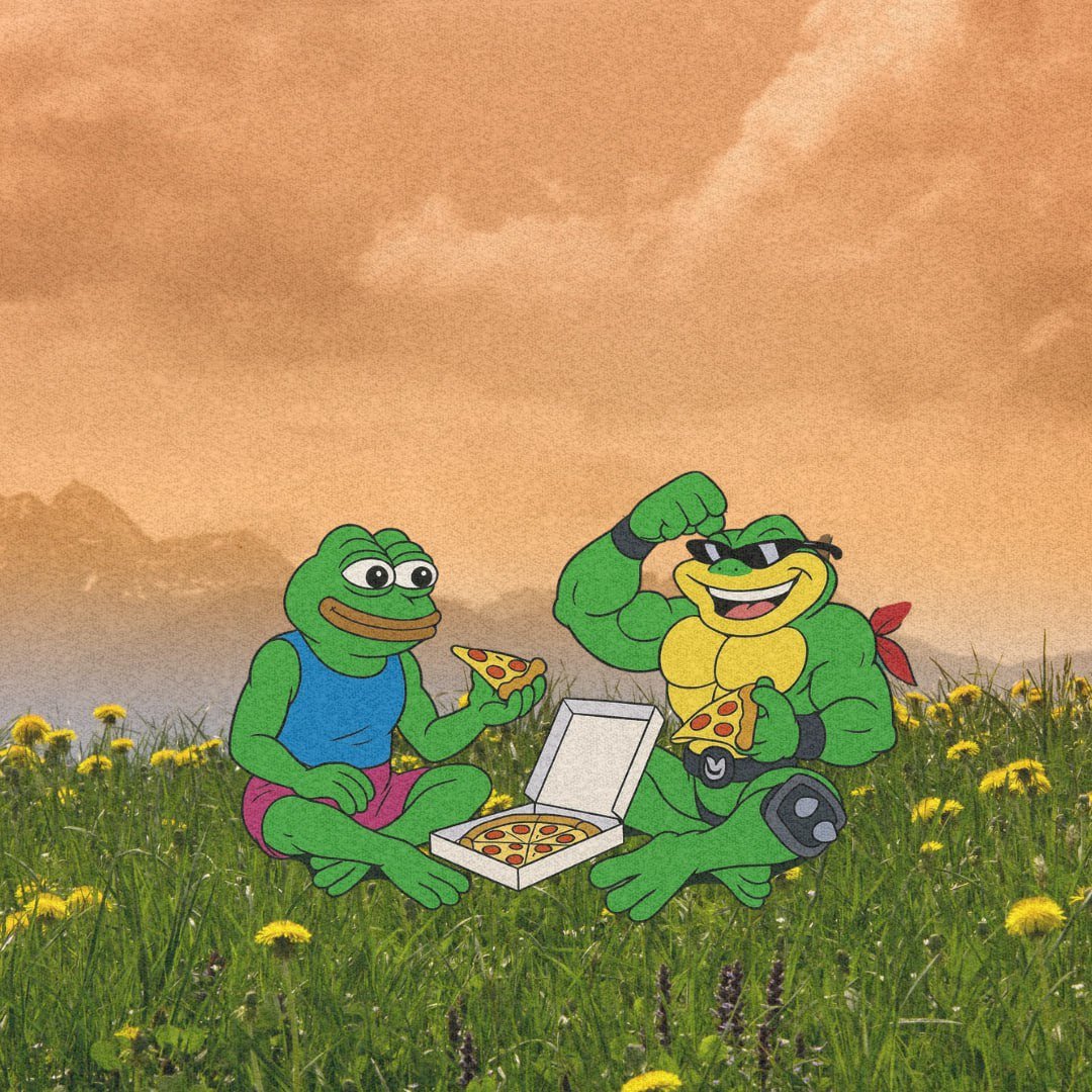 The Battletoads - $TOADS tweet media