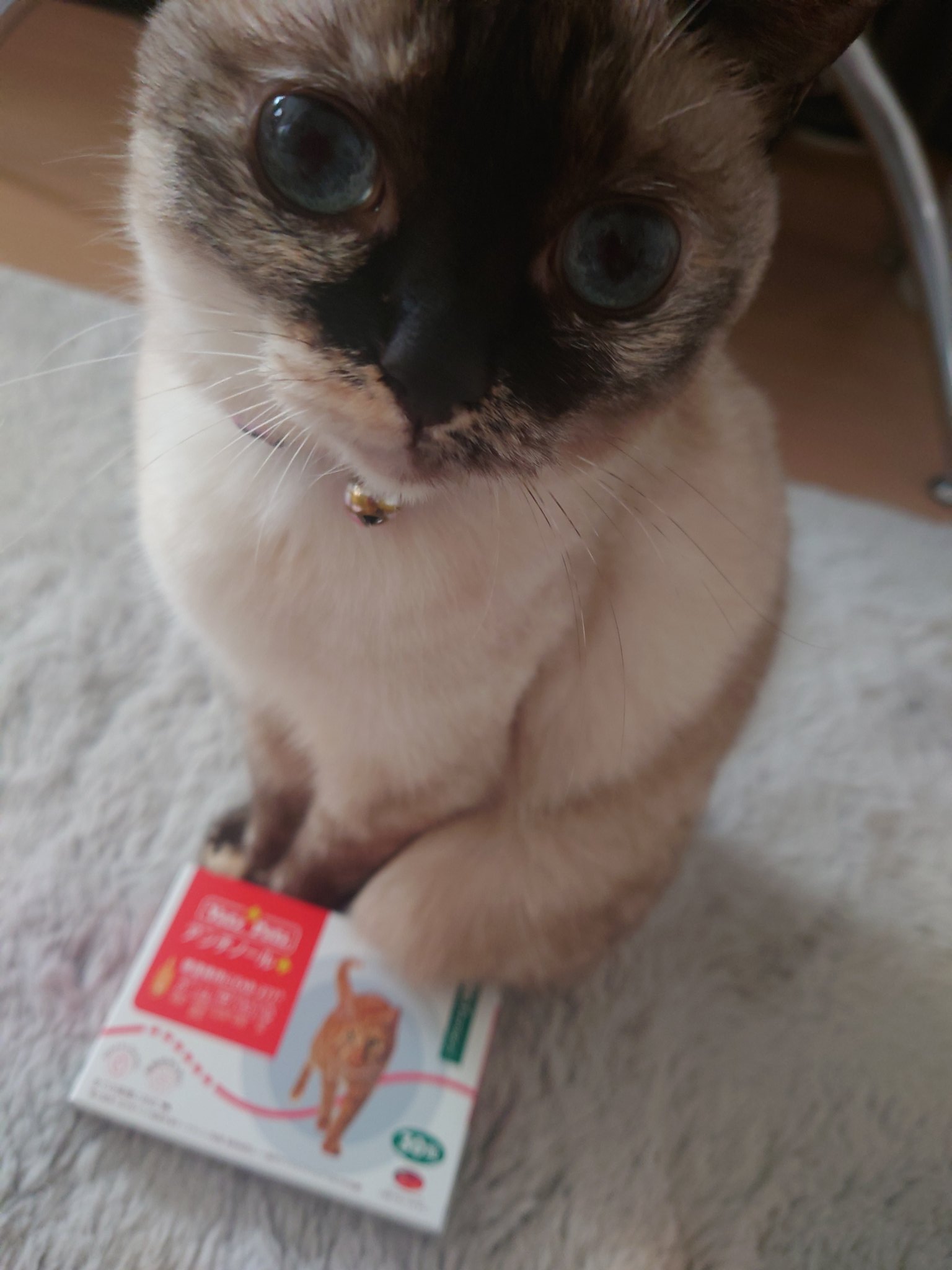 〈よっし〜！！〉アンチノールセット〈よっし〜！！〉 44134575276181-6a48e66169.jpg