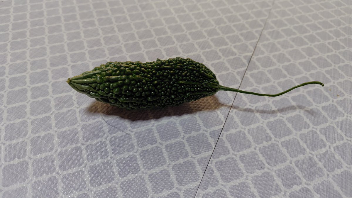 junjun417's tweet image. 実家で採れたゴーヤが、マウスっぽいな、、、？