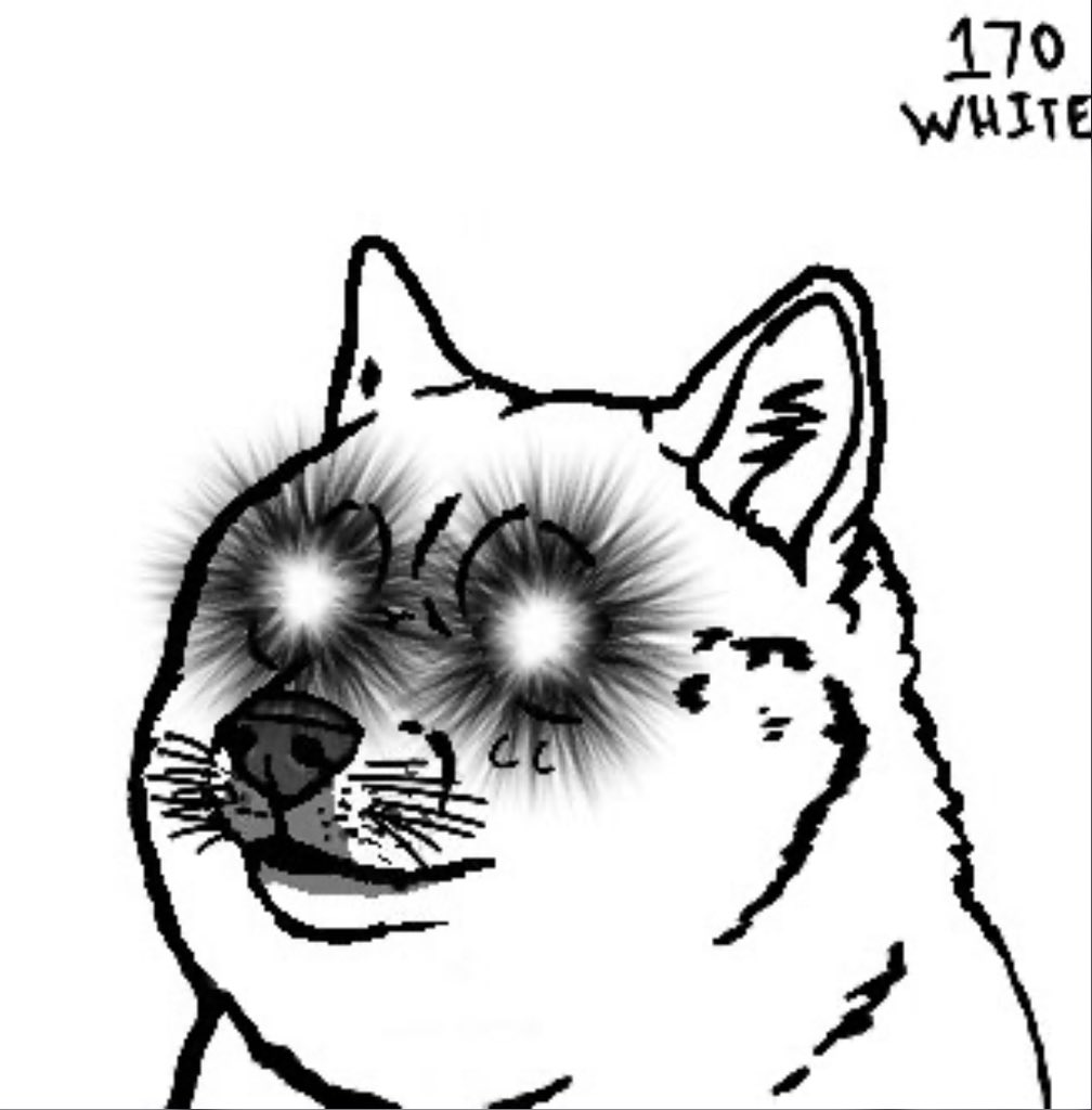 $DOG is the new DOGE drop the E