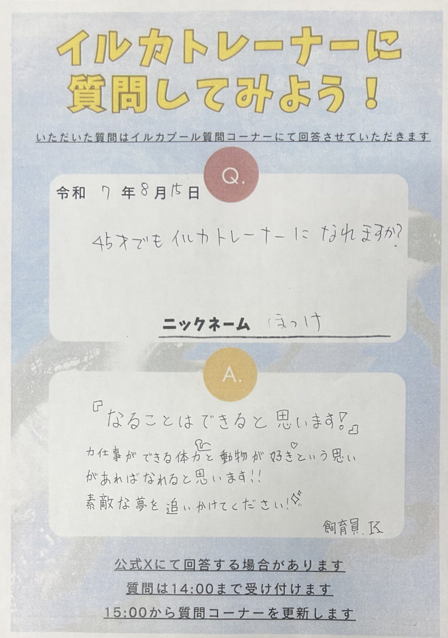 とても綺麗!質問受けつけます とても綺麗!質問受けつけます