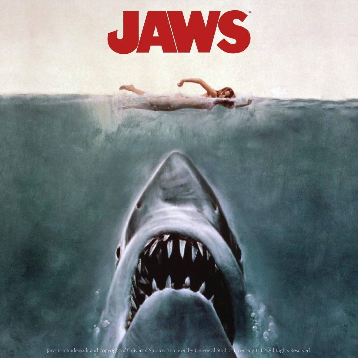 All The Right Movies tweet media