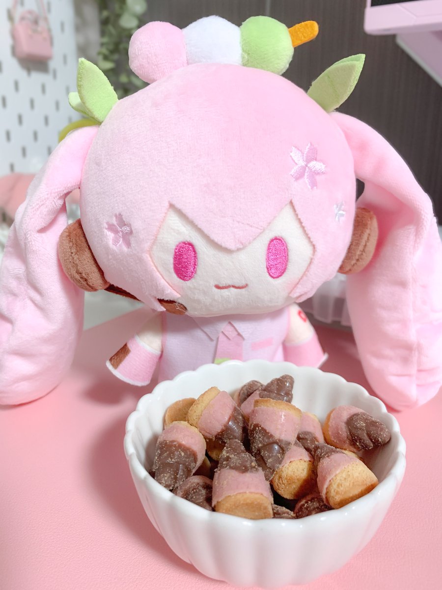 たけのこの里 🍓💗

- - - - - - - - - - - - - - - - 
 #桜ミク