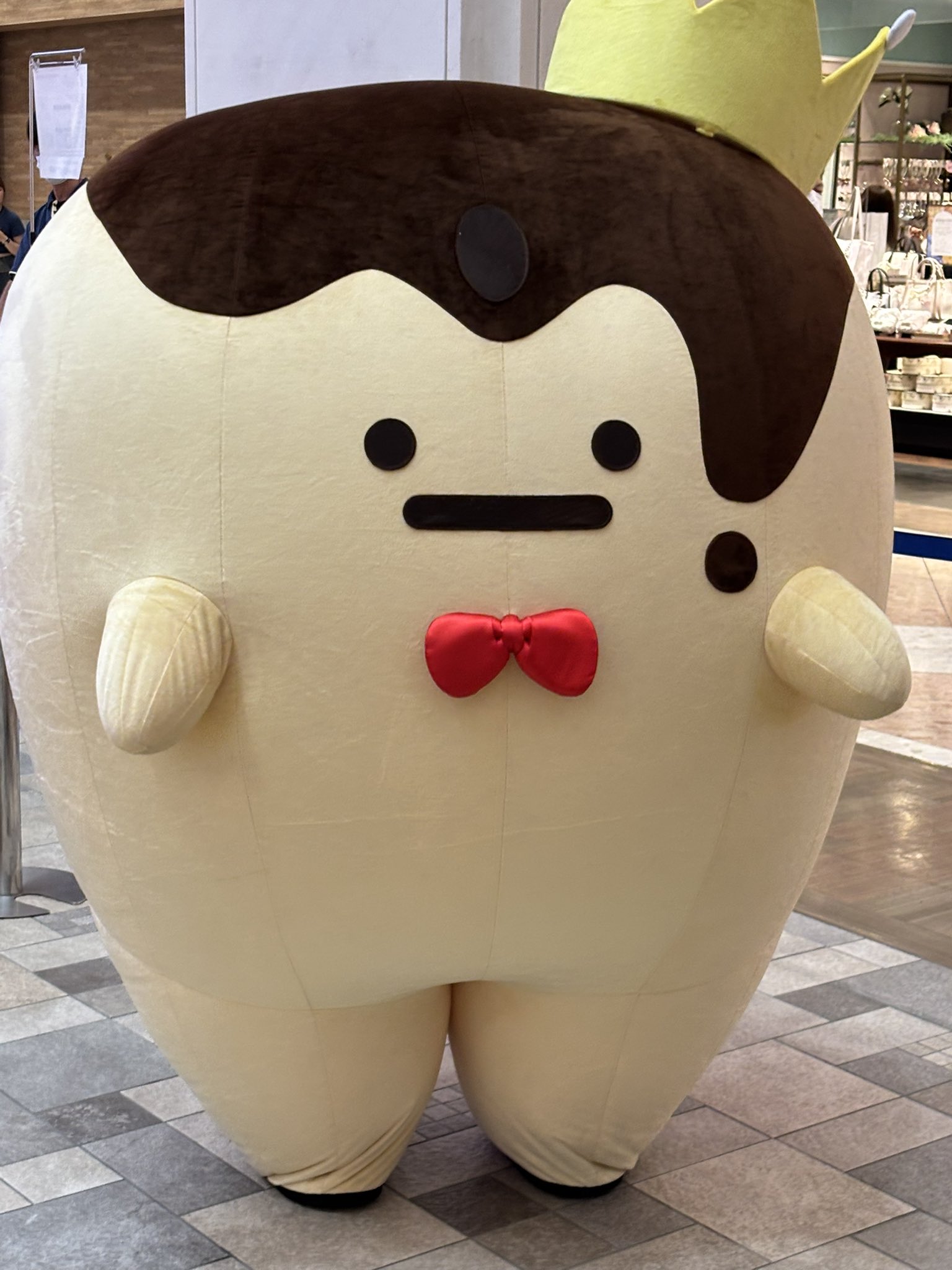 （6月VIP 10%off中） nonnonです❣️0531 住みたい所がまた増えた🗽