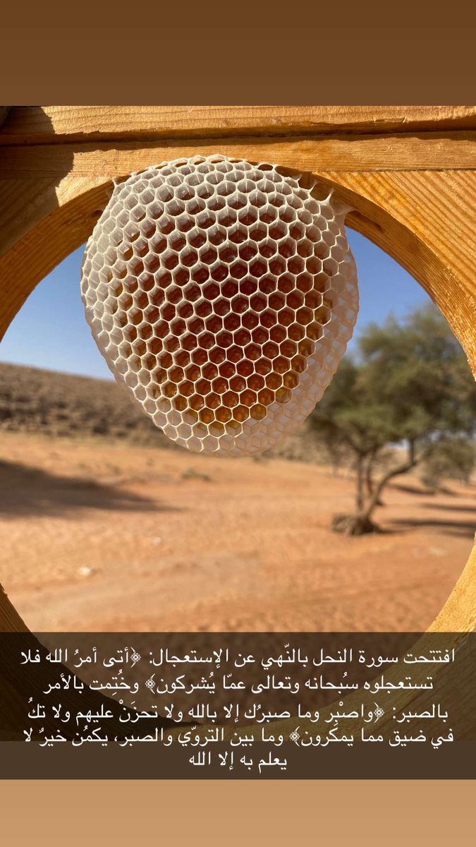 افتتحت سورة النحل بالنّهي عن الإستعجال: ﴿أتى أمرُ الله فلا تستعجلوه سُبحانه وتعالى عمّا يُشركون﴾ وخُتِمت بالأمر بالصبر: ﴿واصْبِر وما صبرُك إلا بالله ولا تحزَنْ عليهم ولا تكُ في ضيق مما يمكرون﴾ وما بين التروّي والصبر، يكمُن خيرٌ لا يعلم به إلا الله سبحانه فثق بالله ولا تجزع."