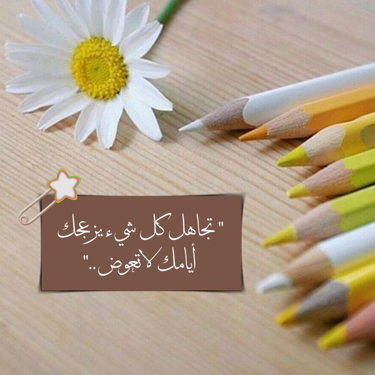 feeling_edu's tweet photo. #لمسات_جمالية
تجاهل كل شيئ يزعجك .... ايامك لا تعوض https://t.co/6fASb9vF8Z