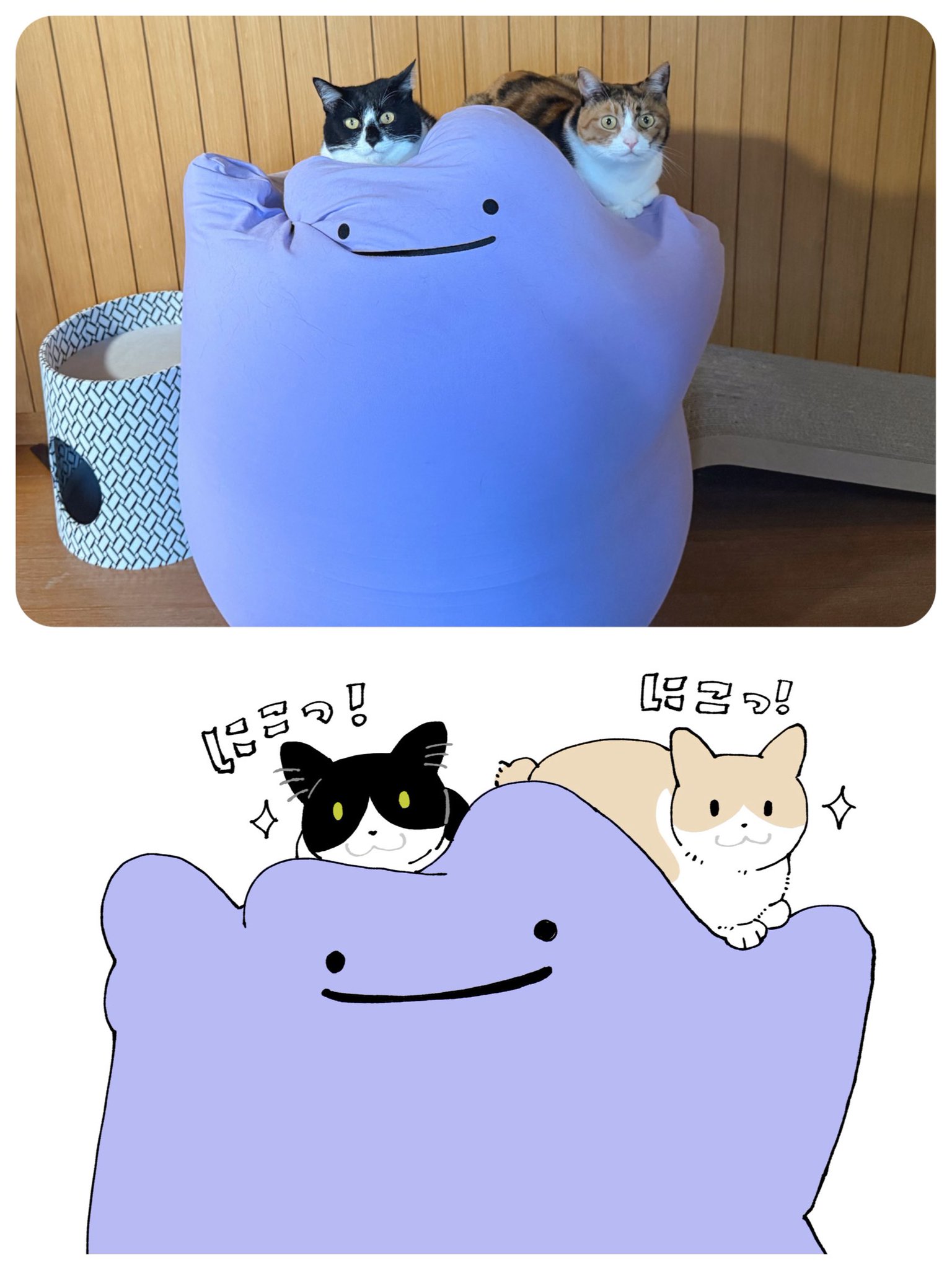 TEXT / ねこぼーろ 01327d86-757b-42e6-9f37-