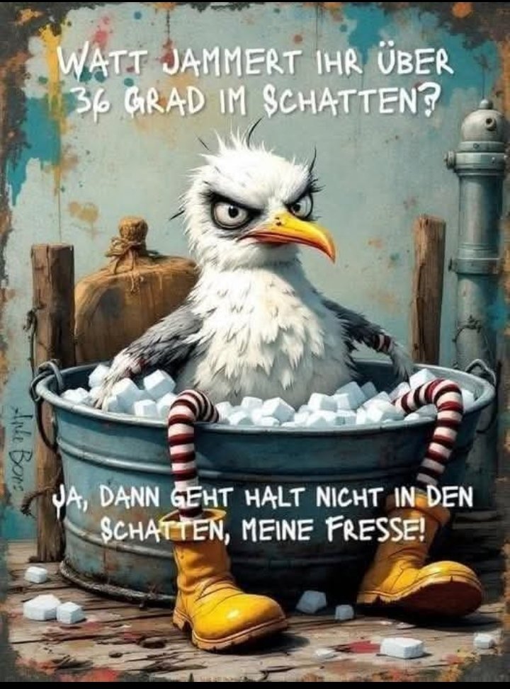 Mein unwesentlicher Wortbeitrag zum Freitag: 👇