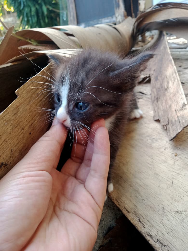 🤘🏻😼 tweet media