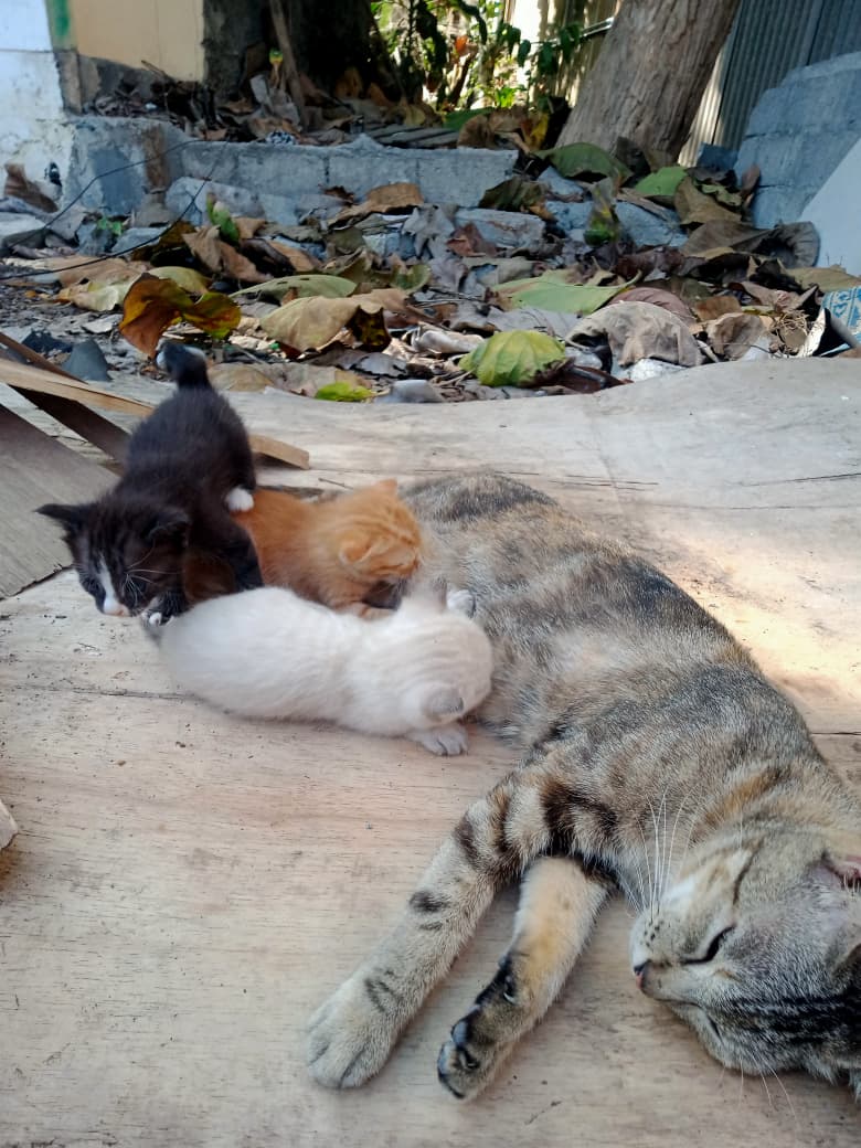 🤘🏻😼 tweet media