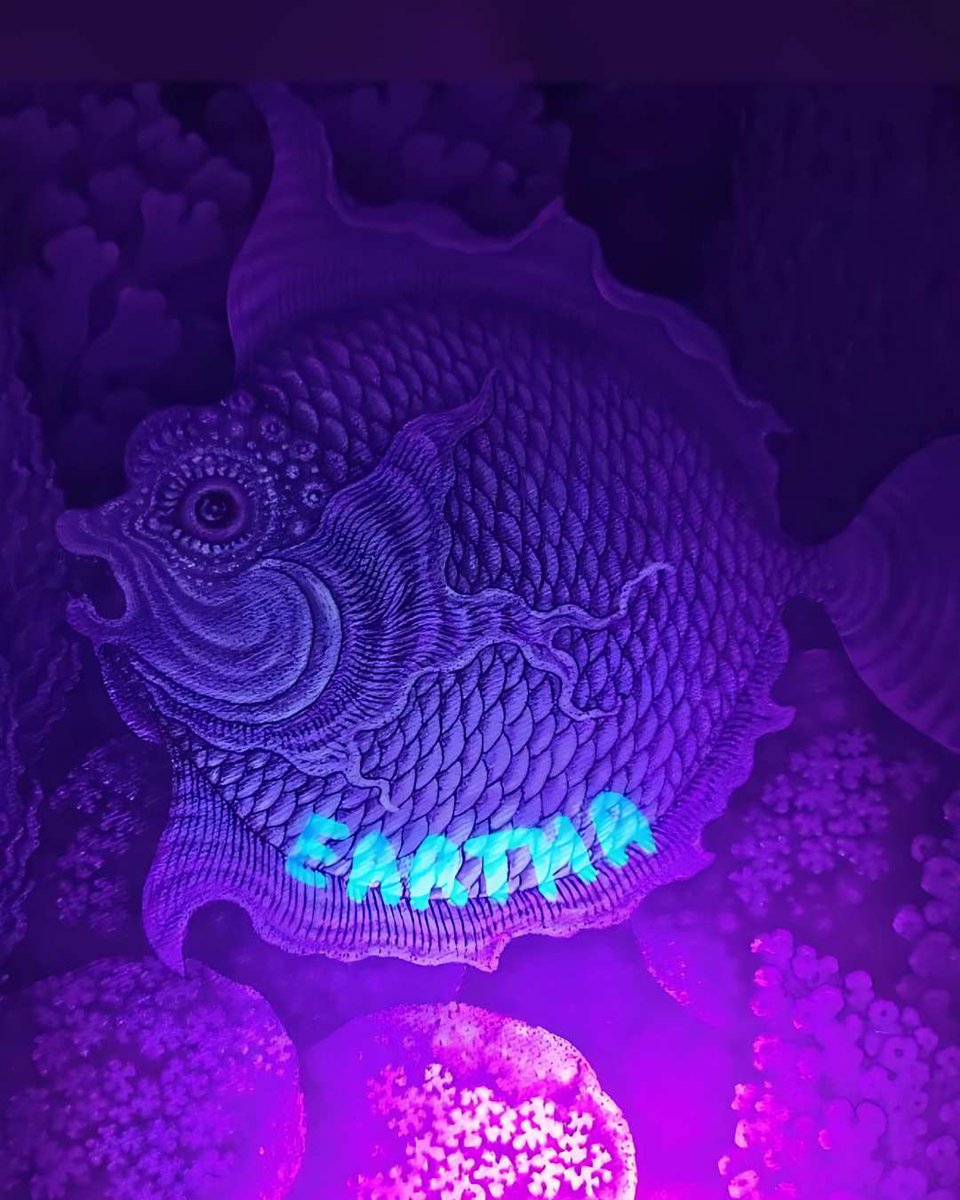 lorisowen tweet media