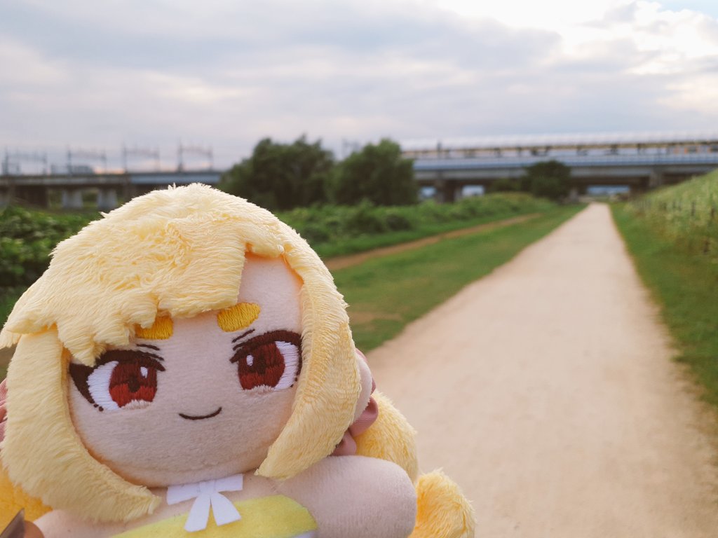 いつもの