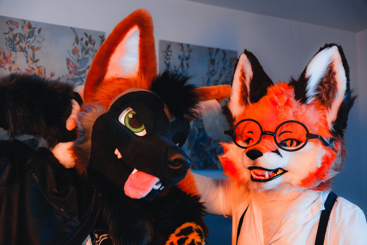 Mane character 🔜 CFZ, BFF, FBL (@adedranwolf) on Twitter photo There're two kind of foxes: classy ones, and silly ones. But all are cute (and sexy, don't you think?).
Which one is <a href="/Dr_Chronos/">Chronos</a> and which one is me 😏?
🪡: <a href="/AlphaDogsStudio/">Alpha Dogs</a> and <a href="/cuiliyan331/">Umi Fursuit 유미 퍼슈트 공방</a>
📷: <a href="/pup_neon_/">Chi</a> There're two kind of foxes: classy ones, and silly ones. But all are cute (and sexy, don't you think?).
Which one is <a href="/Dr_Chronos/">Chronos</a> and which one is me 😏?
🪡: <a href="/AlphaDogsStudio/">Alpha Dogs</a> and <a href="/cuiliyan331/">Umi Fursuit 유미 퍼슈트 공방</a>
📷: <a href="/pup_neon_/">Chi</a>
