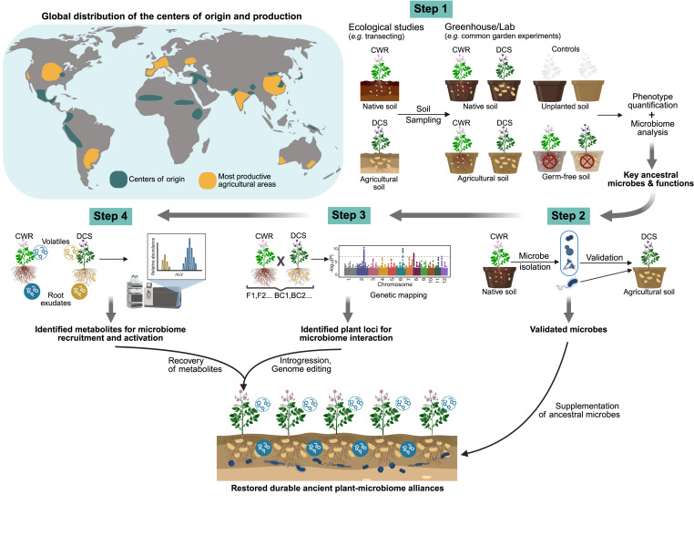 niooknaw's tweet photo. New publication: Born to rewild: Reconnecting beneficial plant-#microbiome alliances for resilient future crops, by @RaaijmakersJM and others. #rewilding #biodiversity #nativesoil #rhizosphere
https://t.co/vYZmmqLRfr https://t.co/Ww8euQAXcy
