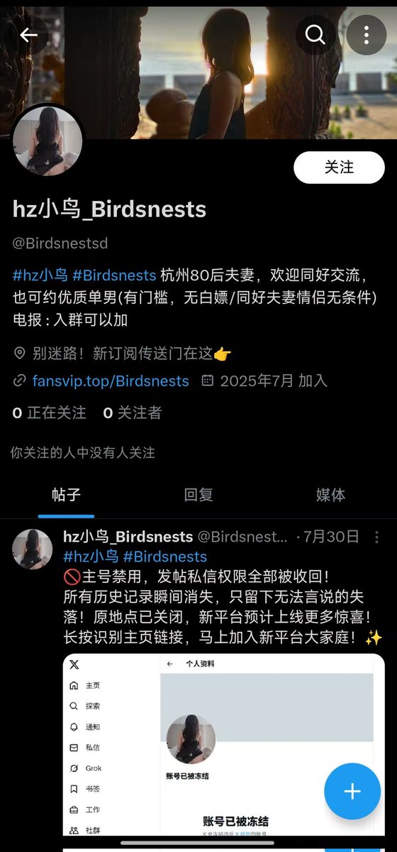 hz小鸟 tweet media