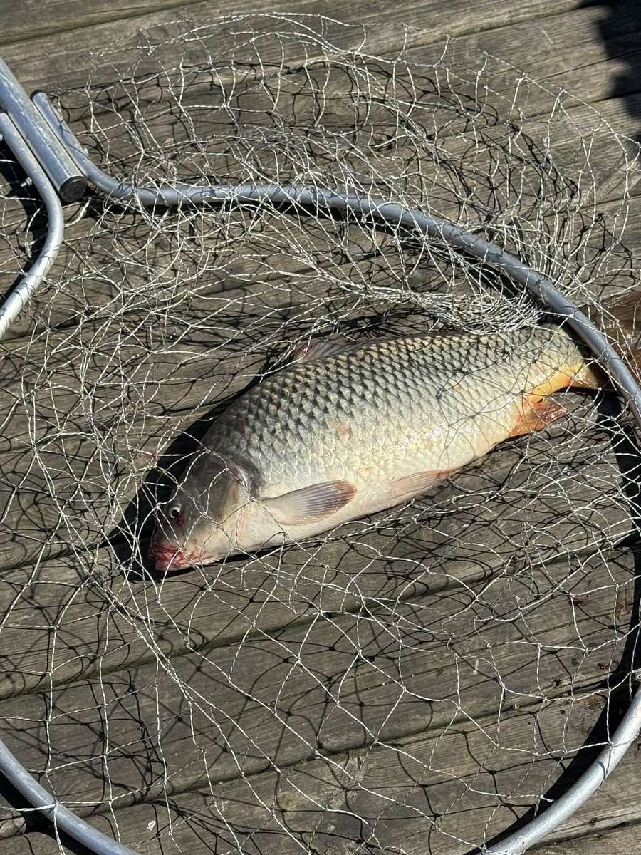 Согласен так проводить рабочее время