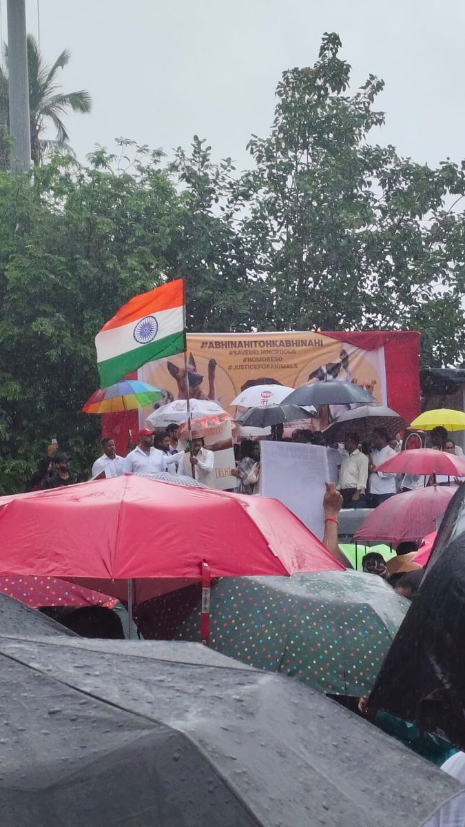 Tara_Deshpande's tweet image. Come rain moon or shine protestors gathered today at Azad Maidan against the  SC order concerning #communitydogs #straydogs #streetsdogs