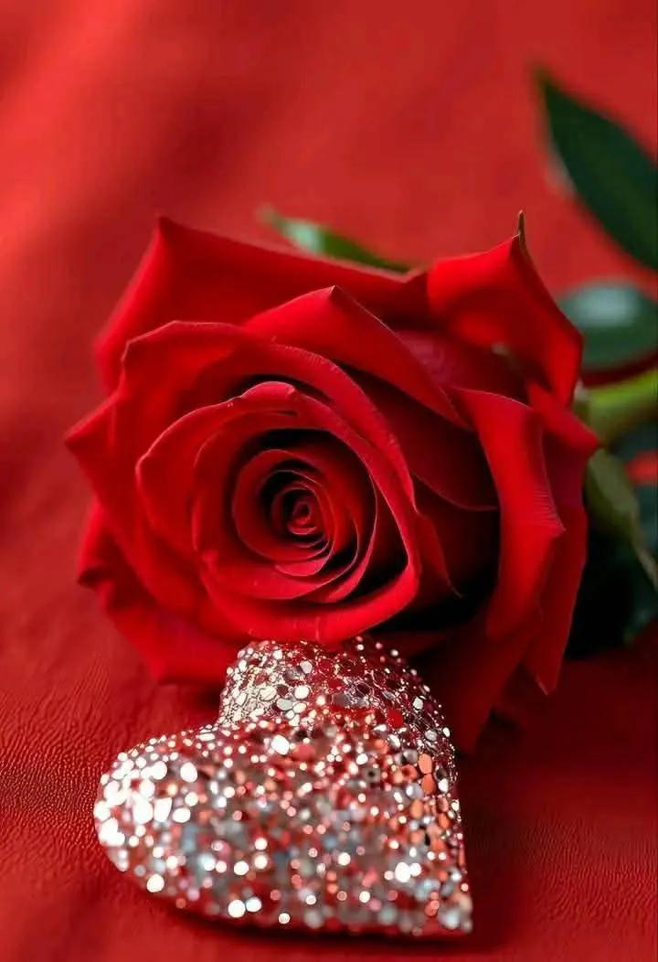 ايمن جنديل (@jndyl11968) on Twitter photo 