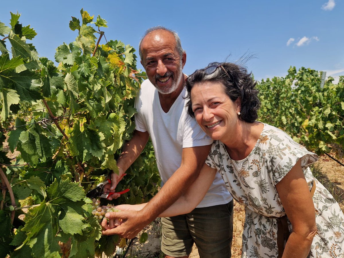 gibadda's tweet photo. 🌞 Buon Ferragosto da Cantina Gibadda! Che tu sia al mare, in montagna o in città, brinda con noi alla gioia dell’estate! 
#Ferragosto #Gibadda https://t.co/nGBaPpl89r