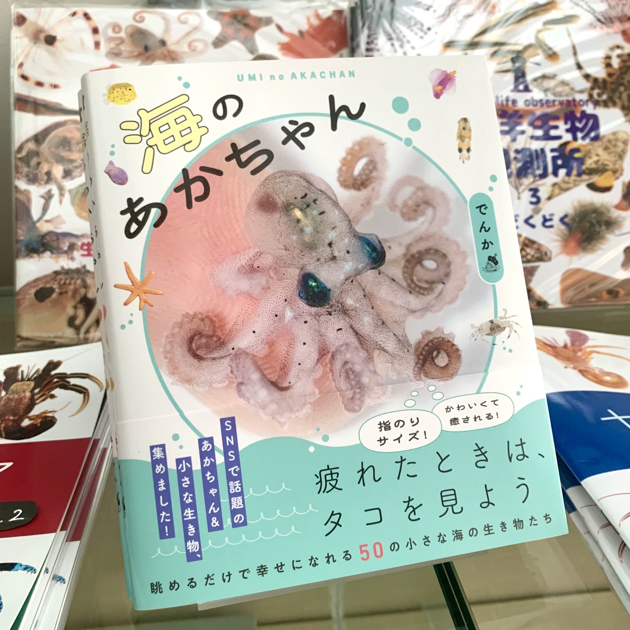 SAKANA BOOKS（サカナブックス）｜サカナに特化した本屋