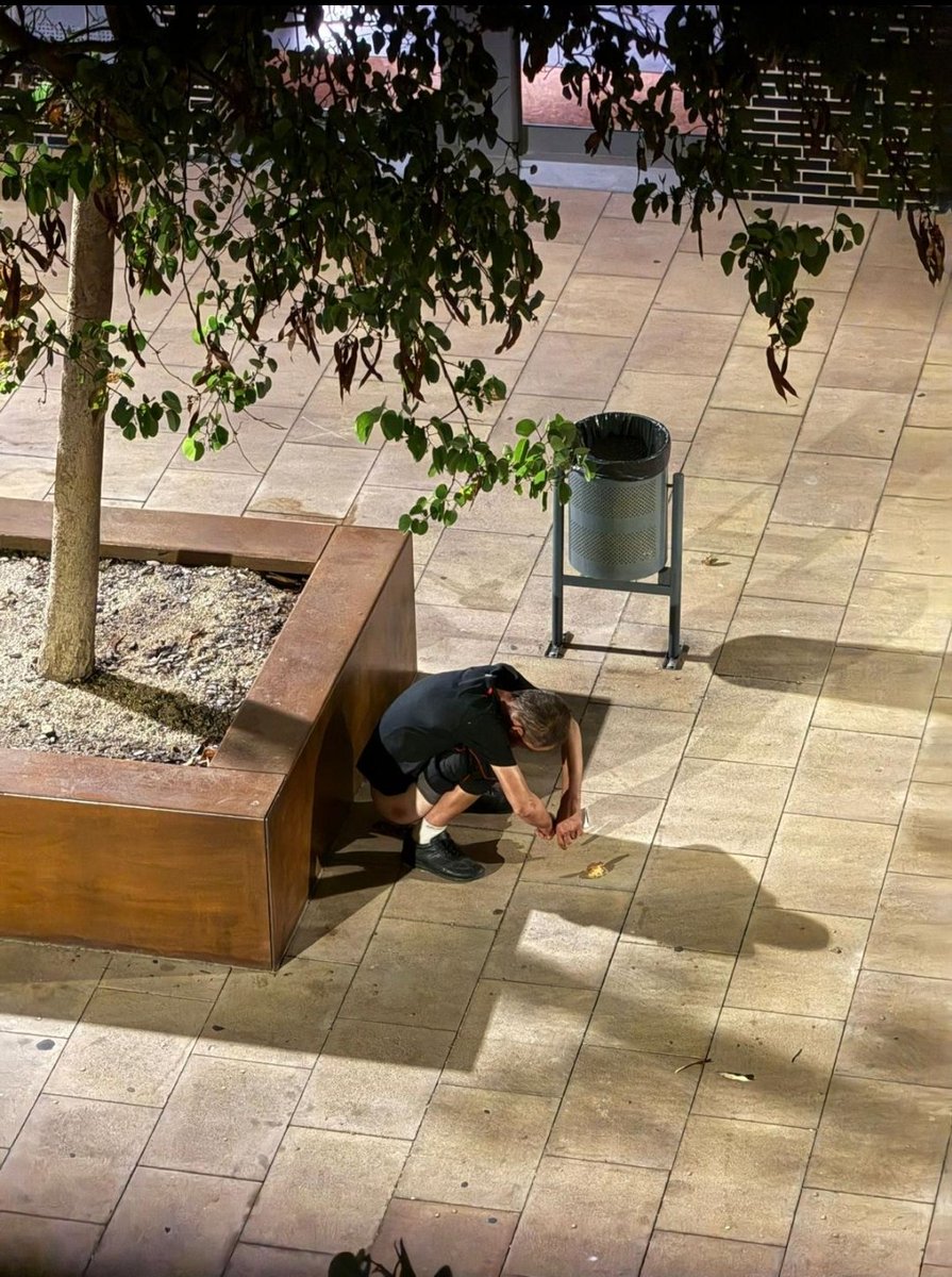 JoseCasadoVOX's tweet photo. Los vecinos de la Plaza de la Coca no aguantan más esta situación.

Indigencia, peleas, trapicheo y la misma plaza se ha convertido en un defecadero público. 

Mientras tanto, el gobierno de Bote dice que la inseguridad y la delincuencia no se puede combatir a golpe de martillo. https://t.co/d3gomvcIzw