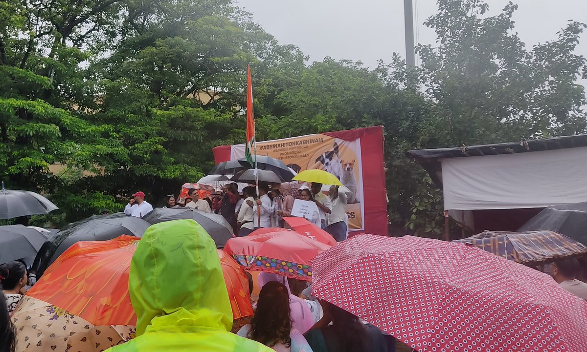 jyothidatta (@jo_da123) on Twitter photo #mumbai stands with #delhi....
People turn out for community animals, birds...
....nevermind the rains....
<a href="/WSDIndia/">WelfareofStrayDogs</a>
<a href="/pfaindia/">People For Animals India</a> <a href="/PetaIndia/">PETA India</a> <a href="/gauri_maulekhi/">Gauri Maulekhi</a> <a href="/Manekagandhibjp/">Maneka Sanjay Gandhi</a> #mumbai stands with #delhi....
People turn out for community animals, birds...
....nevermind the rains....
<a href="/WSDIndia/">WelfareofStrayDogs</a>
<a href="/pfaindia/">People For Animals India</a> <a href="/PetaIndia/">PETA India</a> <a href="/gauri_maulekhi/">Gauri Maulekhi</a> <a href="/Manekagandhibjp/">Maneka Sanjay Gandhi</a>
