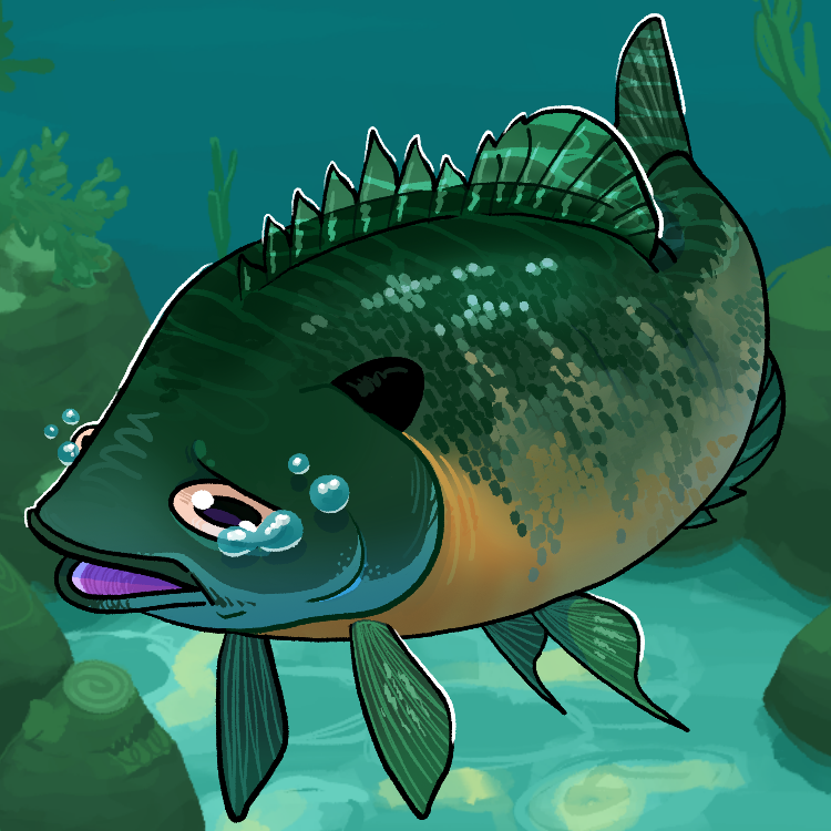 FlamiingPickle's tweet photo. Fish Fish FISH! Largemouth Bass, Bluegill, Striped Headstander, American Paddlefish #fishfearme https://t.co/Nvc4lE7CzL