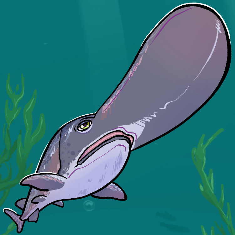 FlamiingPickle's tweet photo. Fish Fish FISH! Largemouth Bass, Bluegill, Striped Headstander, American Paddlefish #fishfearme https://t.co/Nvc4lE7CzL