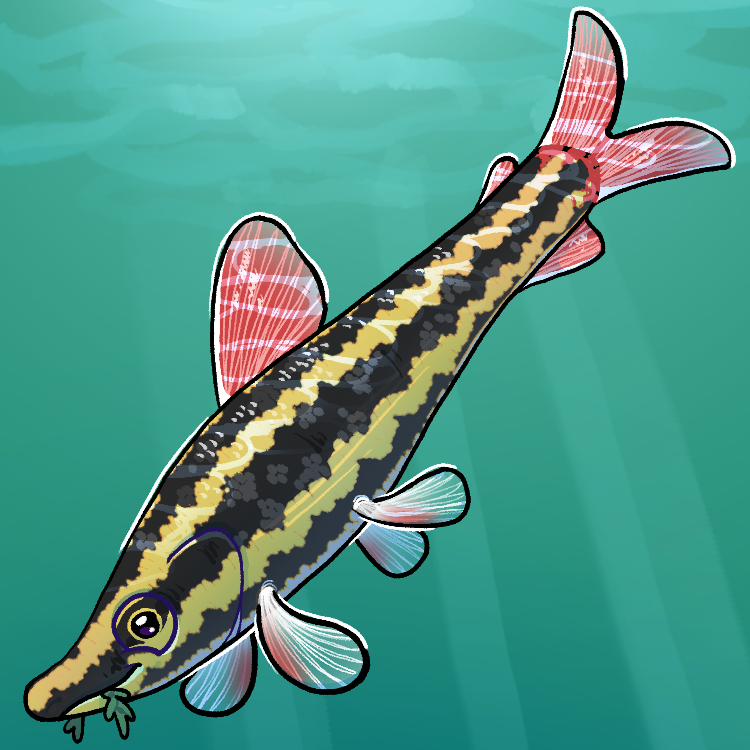 FlamiingPickle's tweet photo. Fish Fish FISH! Largemouth Bass, Bluegill, Striped Headstander, American Paddlefish #fishfearme https://t.co/Nvc4lE7CzL