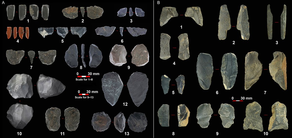 AntiquityJ's tweet image. Upper #Palaeolithic lithics from the Eastern Tianshan Mountains, Xinjiang #FlintFriday
They are similar to contemporary examples from Siberia and East Asia, indicating communication between the Altai mountains and the Tibetan Plateau 45,000 years ago

🆓 doi.org/10.15184/aqy.2…