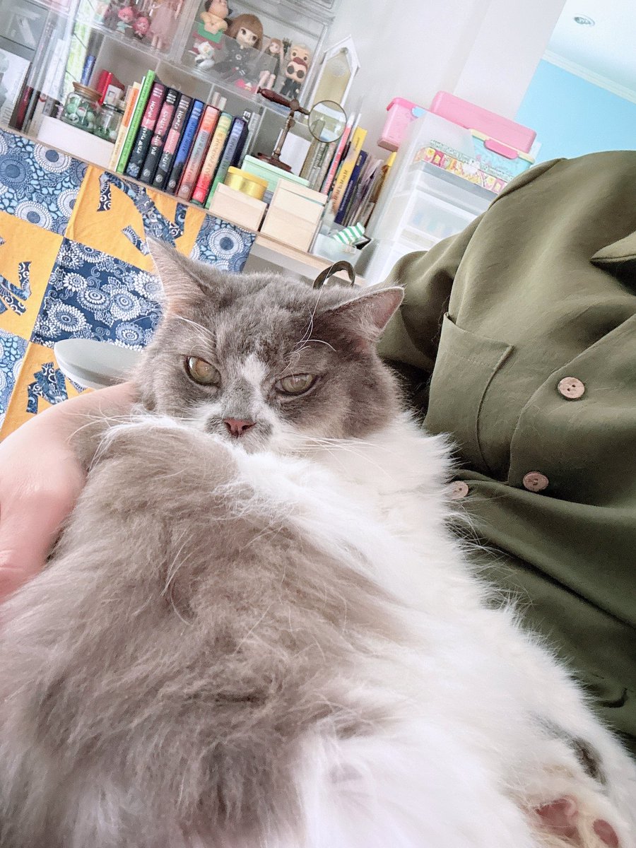 Rinna ♥︎ 猫りんな 😈🎀✨ tweet media