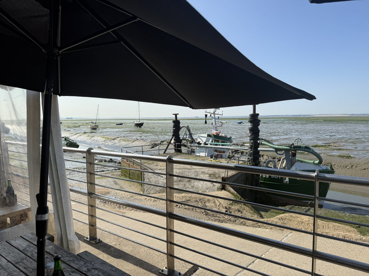 Tim Harvey tweet media