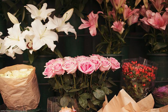 -`☆´- (@flowerkle) on Twitter photo 