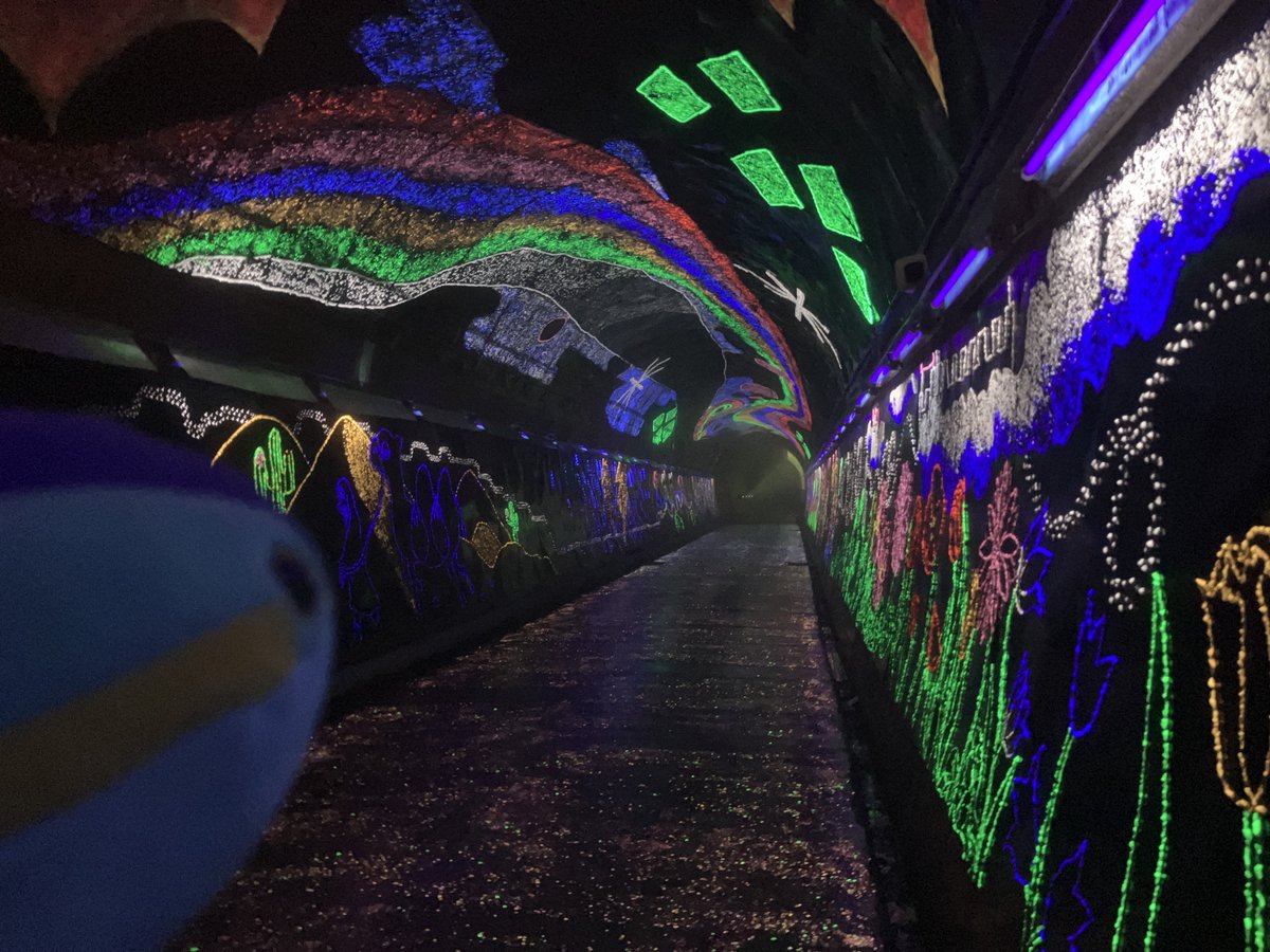 ブリ、トンネルだよ
異界の入り口っぽいね