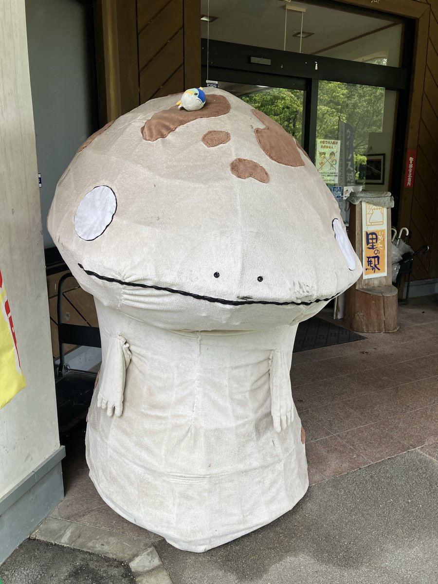 ブリ、大きいオオサンショウウオ、オオオオサンショウウオだよ
目と鼻がわかんないね